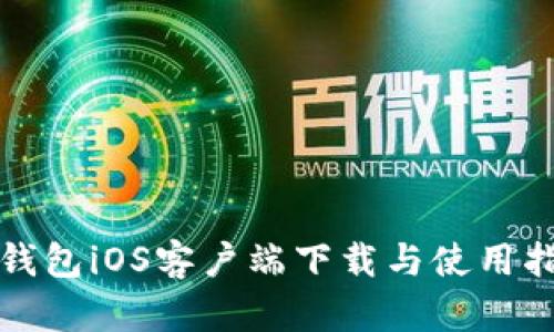 TP钱包iOS客户端下载与使用指南