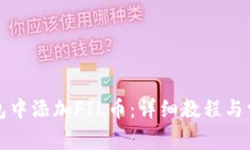如何在TP钱包中添加FIL币：详细教程与常见问题解答
