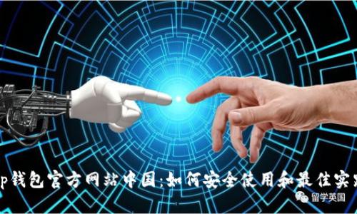 tp钱包官方网站中国：如何安全使用和最佳实践