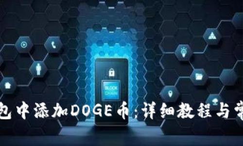 如何在TP钱包中添加DOGE币：详细教程与常见问题解答
