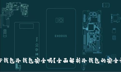 TP钱包冷钱包安全吗？全面解析冷钱包的安全性