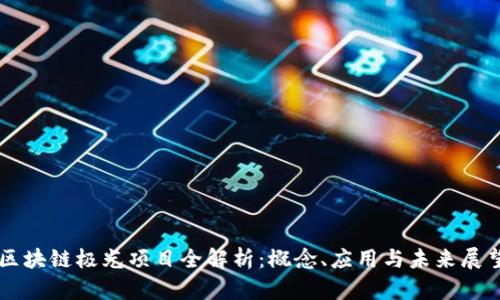 区块链极光项目全解析：概念、应用与未来展望