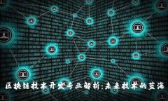 区块链技术开发专业解析