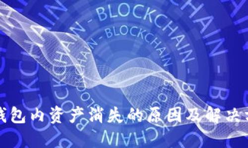 TP钱包内资产消失的原因及解决方案