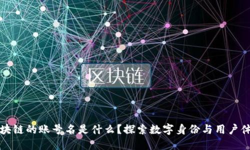 区块链的账号名是什么？探索数字身份与用户体验