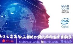 区块链生存基础：了解这