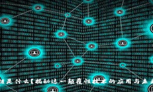 区块链是什么？揭秘这一颠覆性技术的应用与未来趋势