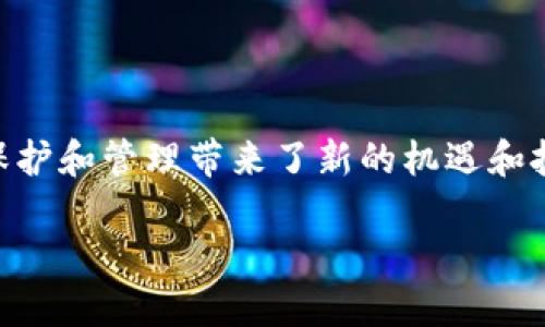 区块链技术在知识产权法领域的应用日益受到关注，它为知识产权的保护和管理带来了新的机遇和挑战。以下是关于“区块链的知识产权法是什么”的内容大纲及详细描述。

区块链与知识产权法：重塑版权保护的未来