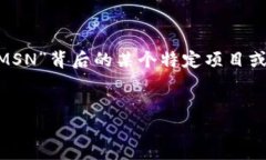 MSN（Microsoft Network）是微软