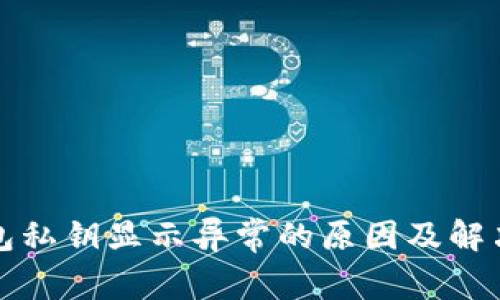 TP钱包私钥显示异常的原因及解决方案
