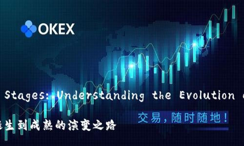 Blockchain Development Stages: Understanding the Evolution of Blockchain Technology

区块链发展的4个阶段：从诞生到成熟的演变之路