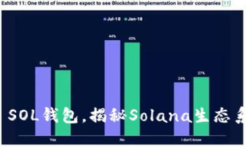 如何安全使用TP SOL钱包，揭秘Solana生态系统的未来与机遇