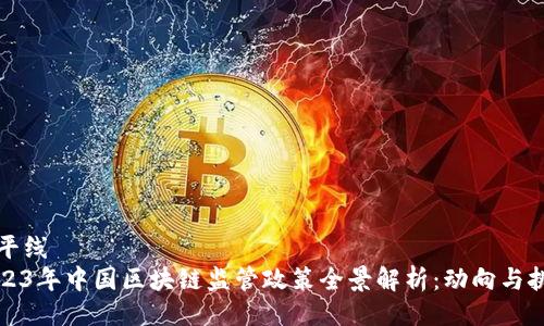 水平线  
2023年中国区块链监管政策全景解析：动向与挑战