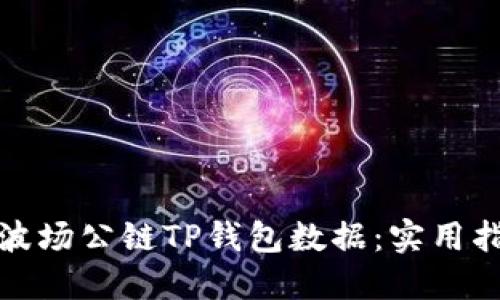 如何查看波场公链TP钱包数据：实用指南与技巧
