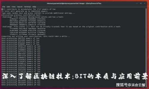 深入了解区块链技术：BIT的本质与应用前景