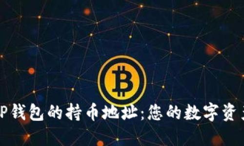 如何查找TP钱包的持币地址：您的数字资产安全指南