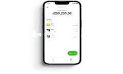 区块链模拟组合是一个涉