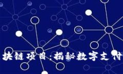 支付宝的区块链项目：揭