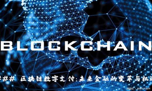 ### 区块链数字支付：未来金融的变革与机遇