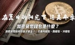   区块链本质的解决方案：