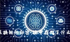 区块链的秘密：块中存储