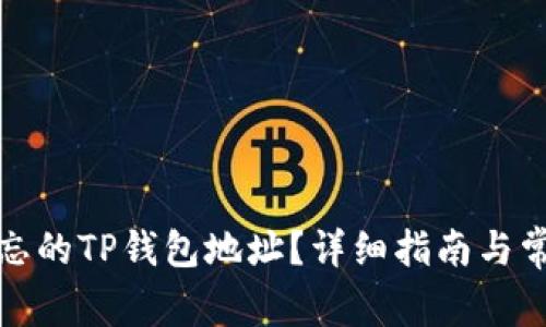 如何找回遗忘的TP钱包地址？详细指南与常见问题解答
