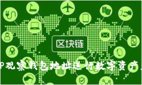 如何通过TP观察钱包地址进行数字资产监测与管理