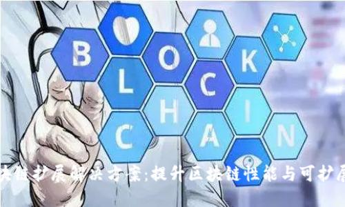 区块链扩展解决方案：提升区块链性能与可扩展性