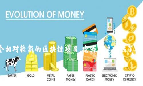 区块链技术在近年来得到了迅猛的发展，许多人对各种区块链项目产生了浓厚的兴趣。其中，Soot是一个相对较新的区块链项目，它为用户提供了独特的功能和机会。下面我们将对Soot区块链进行深入探讨，内容涉及其技术特点、应用场景、生态系统等。

### Soot区块链：解密下一代去中心化网络