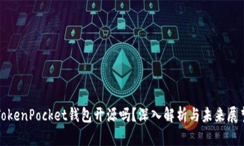 TokenPocket钱包开源吗？深入解析与未来展望