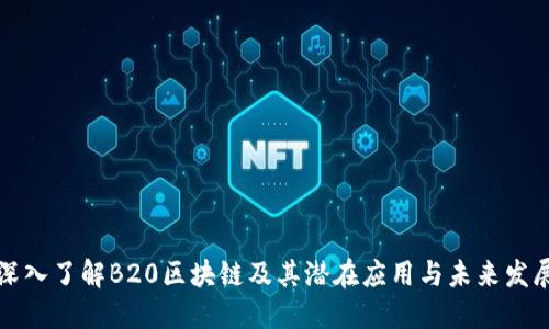 深入了解B20区块链及其潜在应用与未来发展