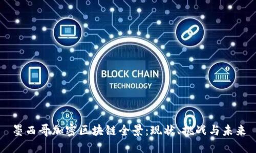 墨西哥加密区块链全景：现状、挑战与未来