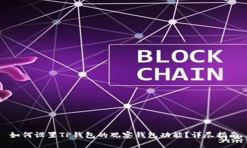 如何设置TP钱包的观察钱包功能？详尽指南
