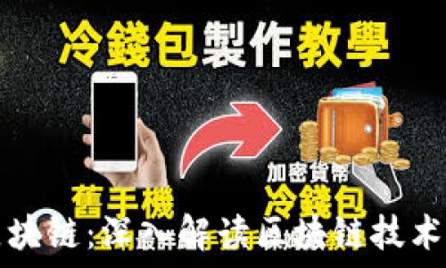   
李林讲区块链：深入解读区块链技术及其应用