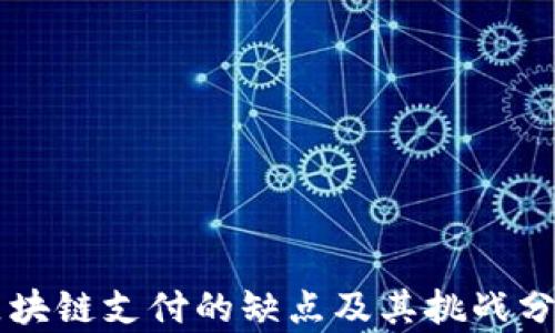 
区块链支付的缺点及其挑战分析