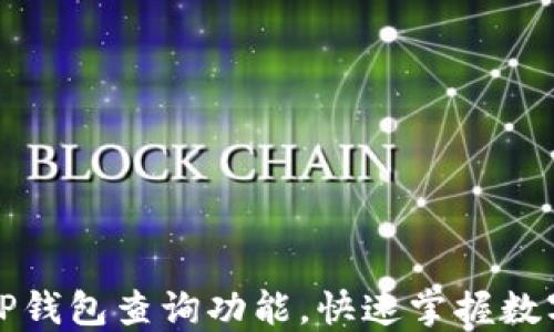 
如何使用TP钱包查询功能，快速掌握数字资产动态