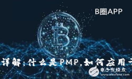 区块链PMP详解：什么是PMP，如何应用于项目管理？