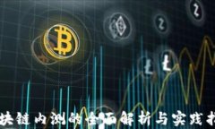 区块链内测的全面解析与