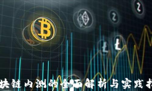 
区块链内测的全面解析与实践指南