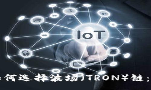 :
TP钱包如何选择波场（TRON）链：全面指南